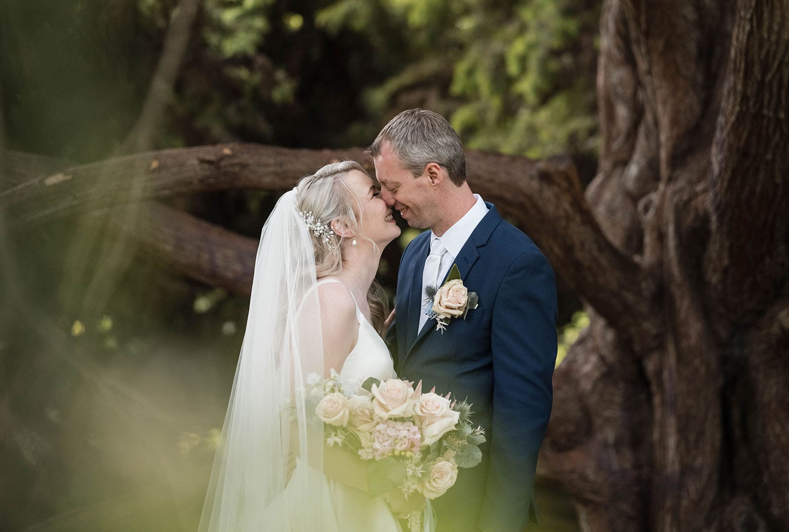 bride and groom in a tree Bride and groom in a tree